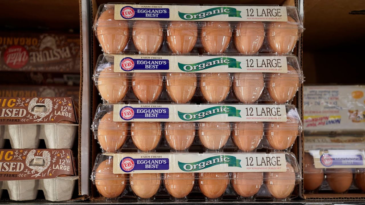 Egg Prices Decline Amid Market Shifts and Consumer Behavior Changes